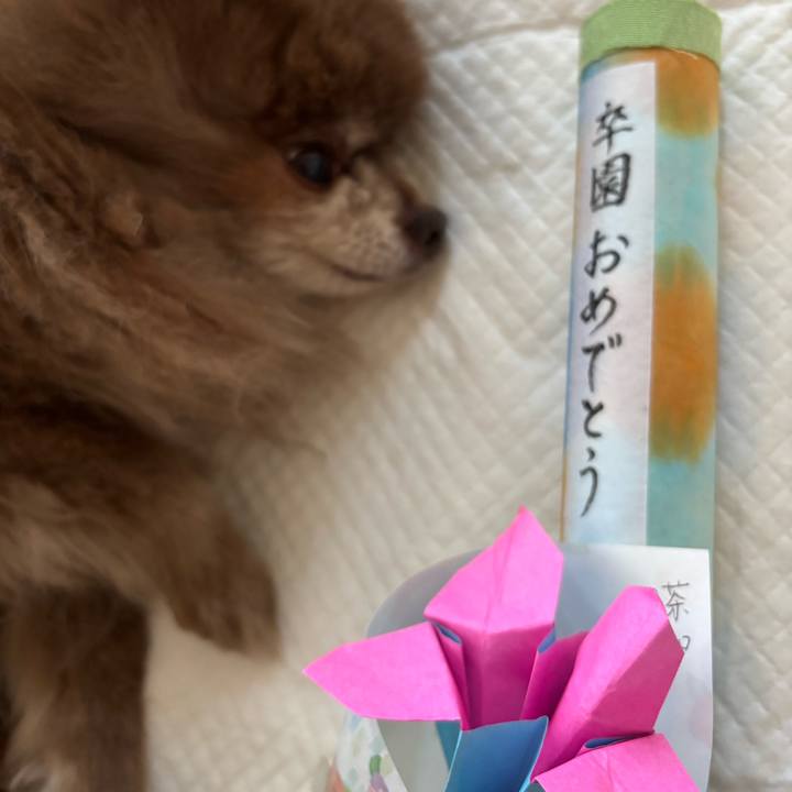 F840cdb4 41d0 4799 b644 6b3a1edfcac4 1774163774235