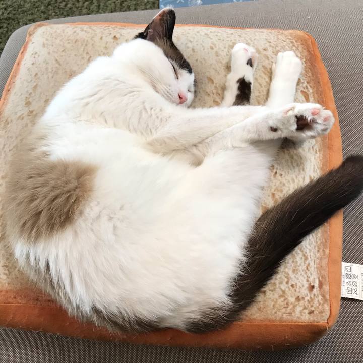 F840dfd9 29a9 4423 8b21 9519c87ee432 1591700297613