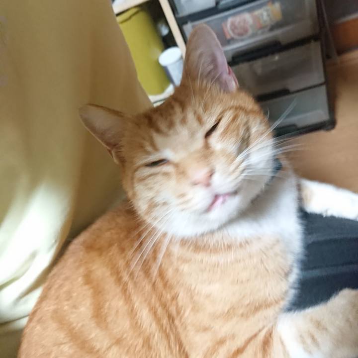 F840e40c 3e27 4eec 8a7a a3e3ace1850f 1603187307922