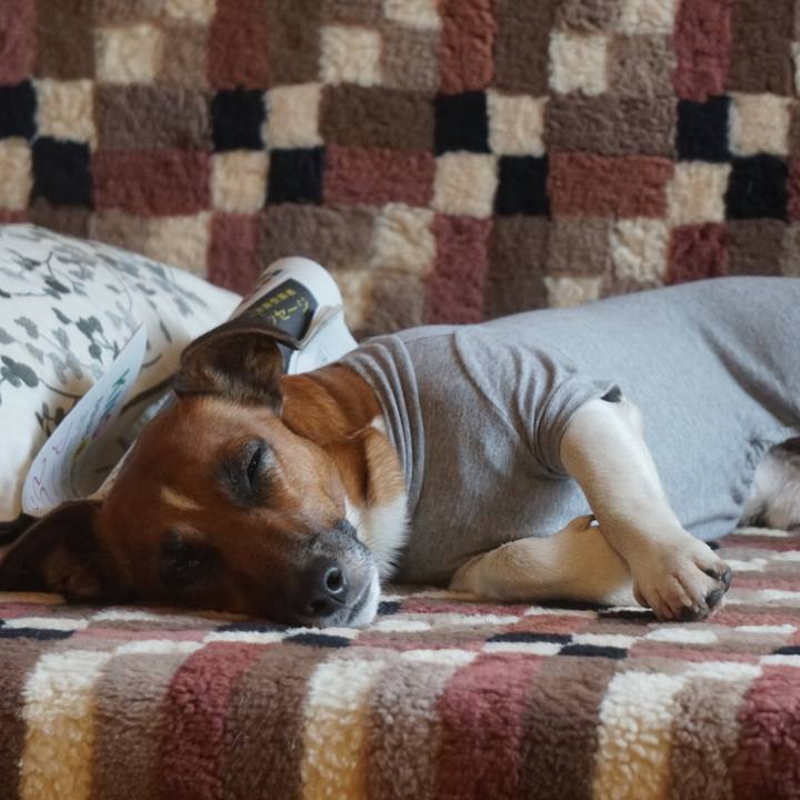 F840eea8 c13e 4b00 85d2 67d6ce2dc092 1510092910847