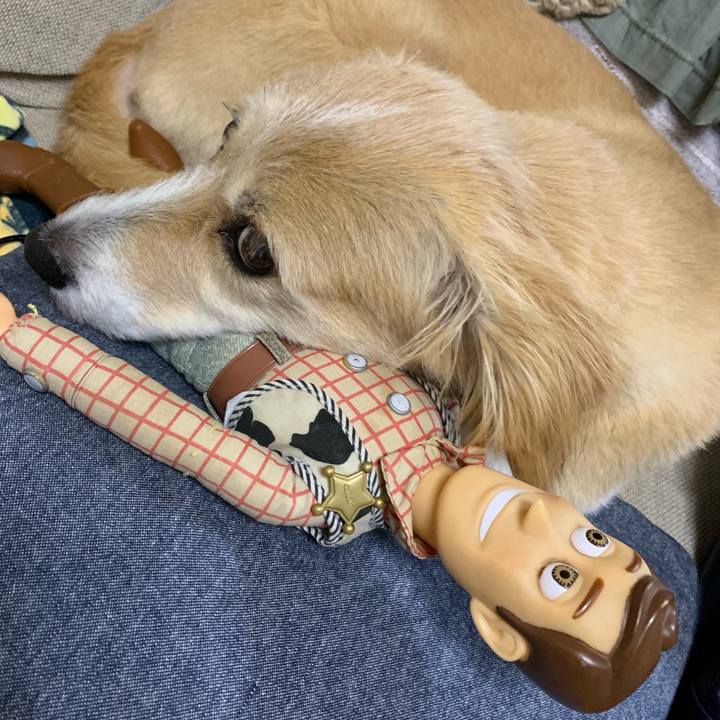 F8410889 14e5 43db 958d 9e6cfaef58a8 1568801183518