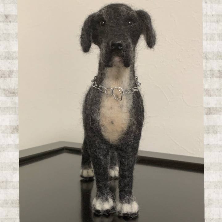 F84169ff 52ef 448e 8beb f561a091a61f 1576059885968