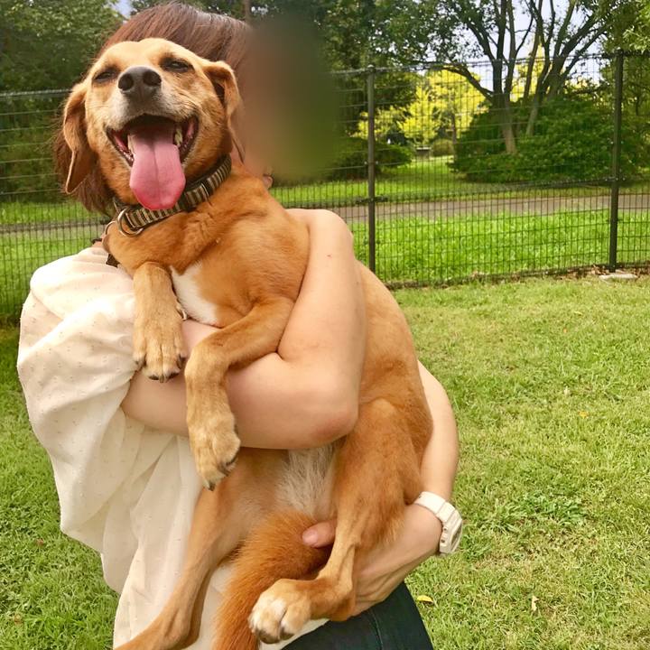 F84183b4 7072 486c 89b9 dcc9e5877f22 1536539511828