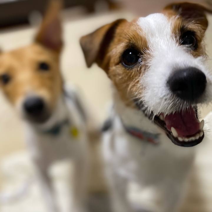 F8418a93 1cc6 48e5 b1d7 9b6d595251bc 1755036445685