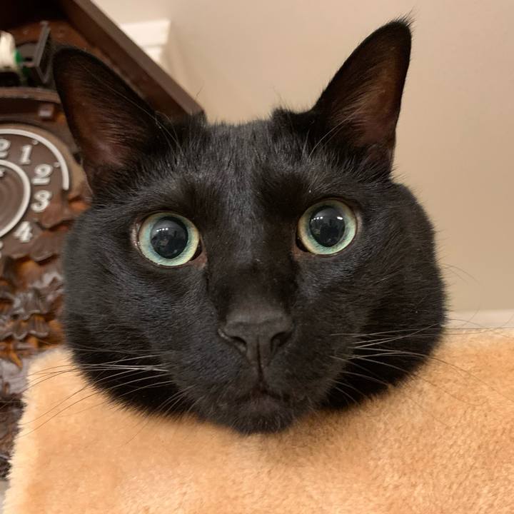 F8419617 ff8b 4167 b967 72b23b25e467 1692020658821