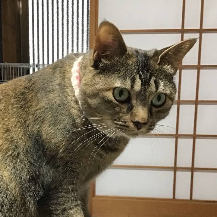 F8419c01 4a74 4a5c 9bea 0d4aee2c924b 1719220166850