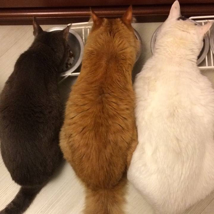 F8419c9b 5f8a 4cd1 a148 1ee330056acb 1537192529976