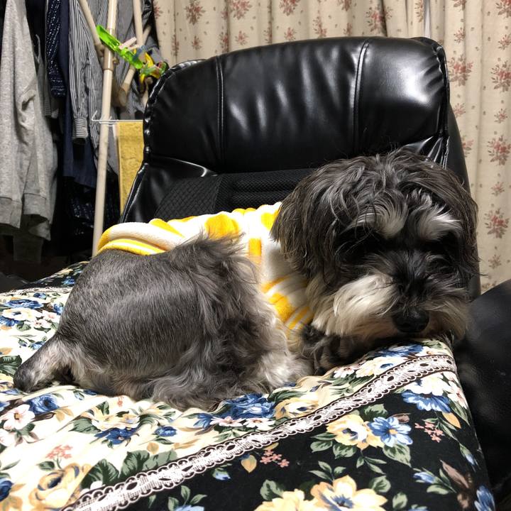 F841a691 6873 4885 be45 15670e97aee0 1546245179650