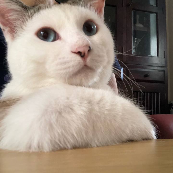 F841f0a0 d335 4a54 857f dbf52a6a70f5 1570849294314