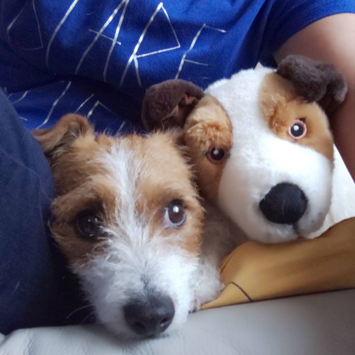 F84207c3 e061 4a36 bd50 ad29dea9b684 1557551863252