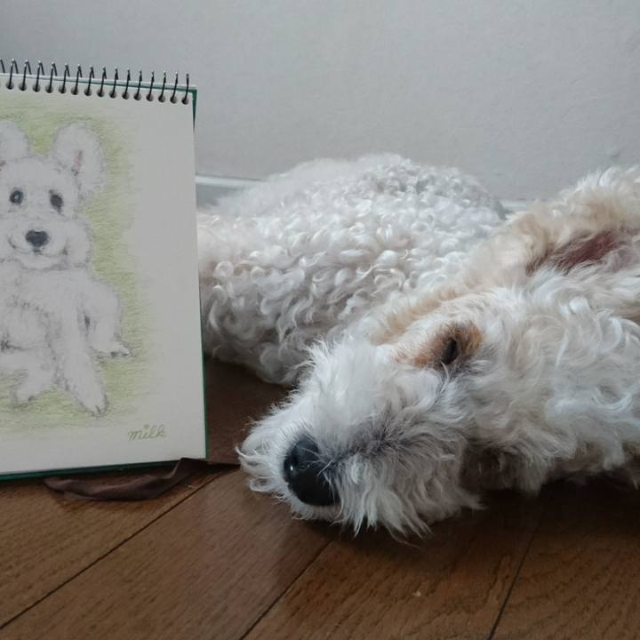 F84211b7 379f 4401 adfa e8fcbe406343 1533275744187