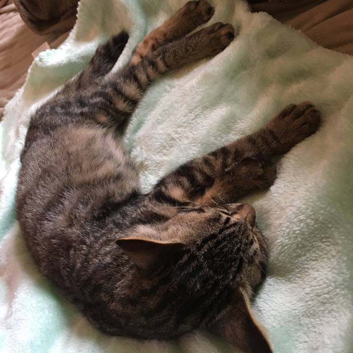 F8422503 fcbe 4d42 81b7 ef1318ccac9d 1536763565301