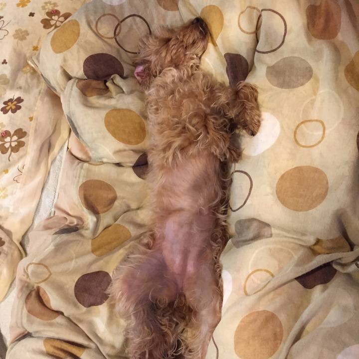 F842791d 33c5 4f3f b205 42403437ca40 1524228127945