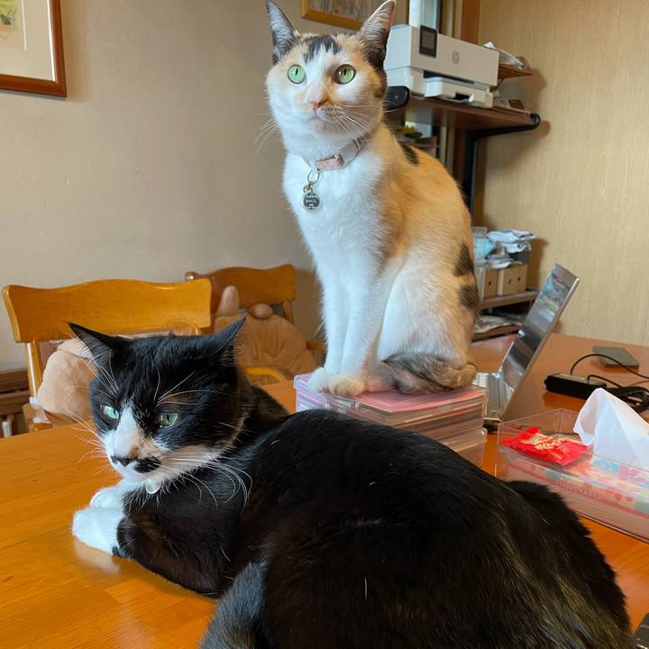 F8427d28 9cf6 442d a03e 575ea190e65c 1737942001839