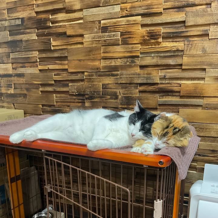 F84280ce 0ed6 4be9 996d 231ad8f37c3f 1635936855897