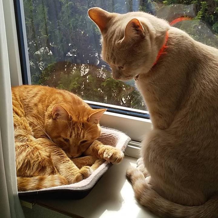 F8428d63 2da1 49bf b8a9 cc559f019aac 1617794944487