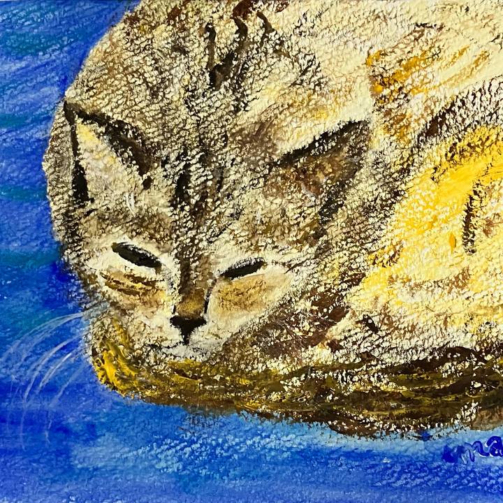 F8428e7b d101 4207 98a4 349b3f13ed71 1722424589657