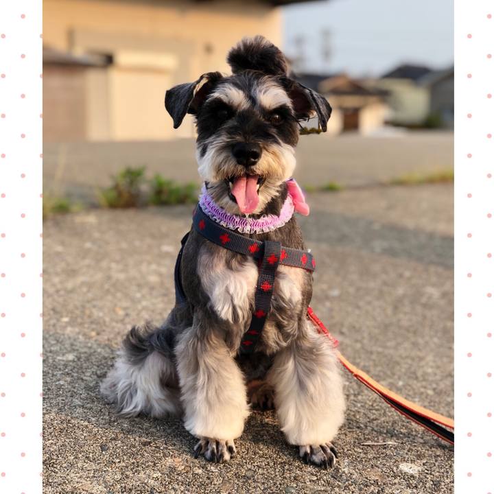 F842ad51 20f6 4fbe bdd9 0bddd7d2b3d3 1655376334550