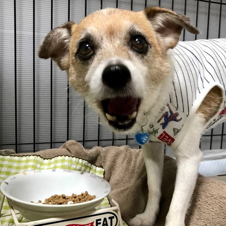 F84309fe 57bc 4ae4 a6c3 54b8876ad0a2 1631437805116