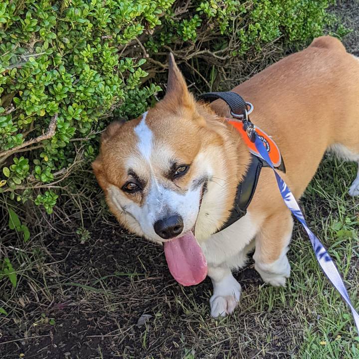 F84335e5 5ae6 4f47 94a5 6f892516cb37 1686443682932