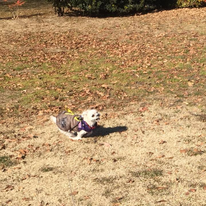 F8434399 8e52 4ab1 a6bb 43b117fc5500 1514790441848