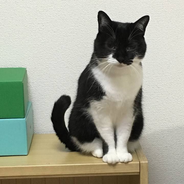 F84350f5 f306 4e6f 9db2 ad7dd0076d83 1541752071601