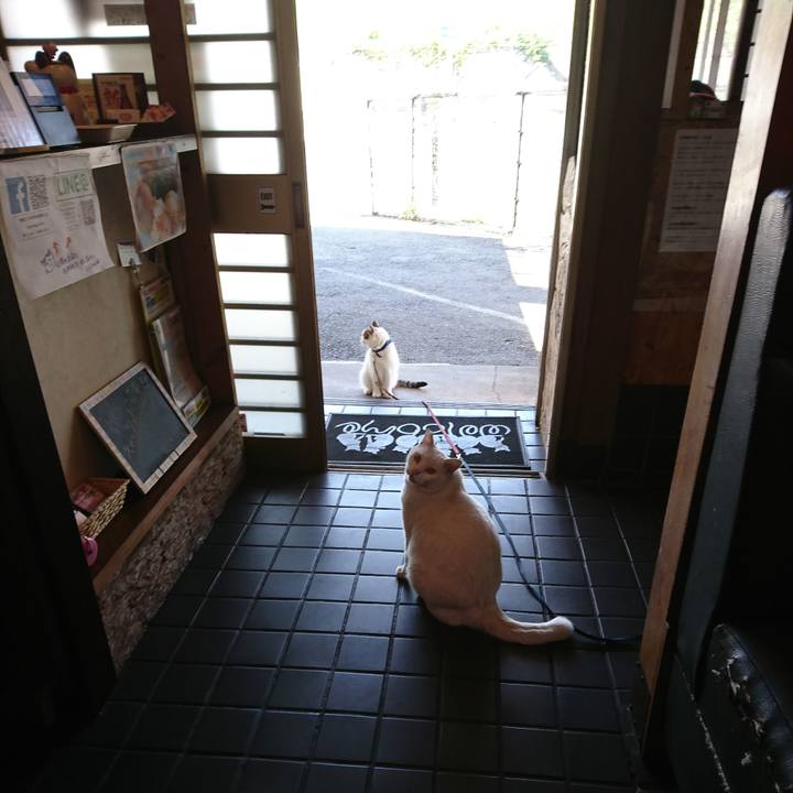 F8435ea9 89fd 49a1 a73e e1fc0d90e93b 1572233398334