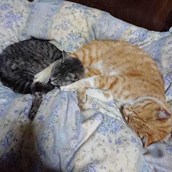 F843648c 915c 43ec af82 baaba447493a 1589113433535