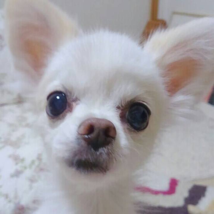 F8439047 f27d 49a5 ac93 adee3afb254b 1570711780093