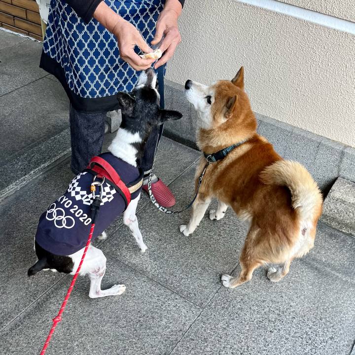 F8439090 1382 4fa1 9df7 c31b9eadfd3c 1636249124938