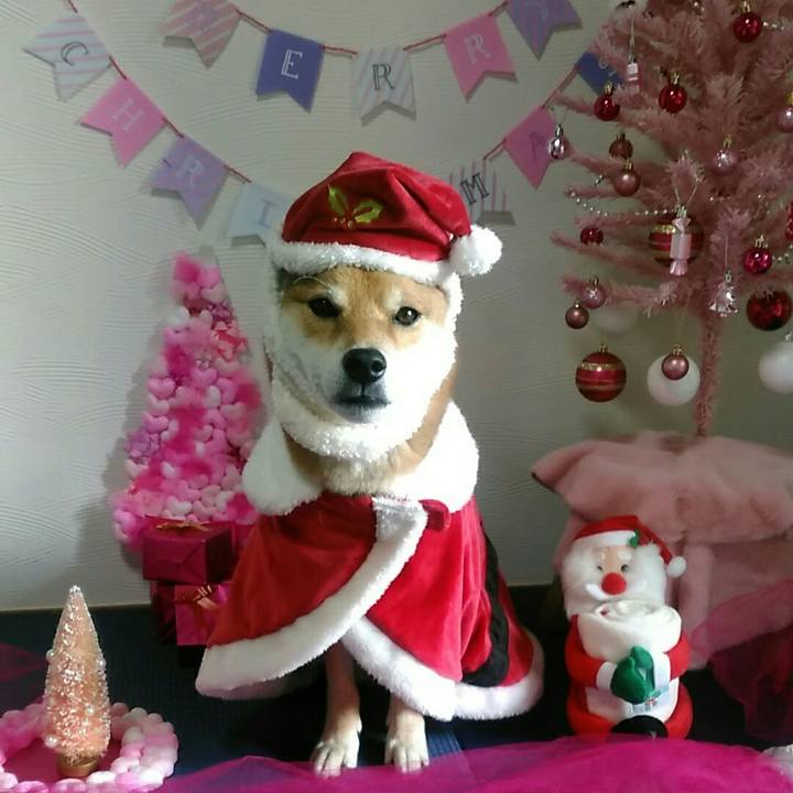 F843a810 7563 4b6a b8f9 403a3e544987 1577020770781