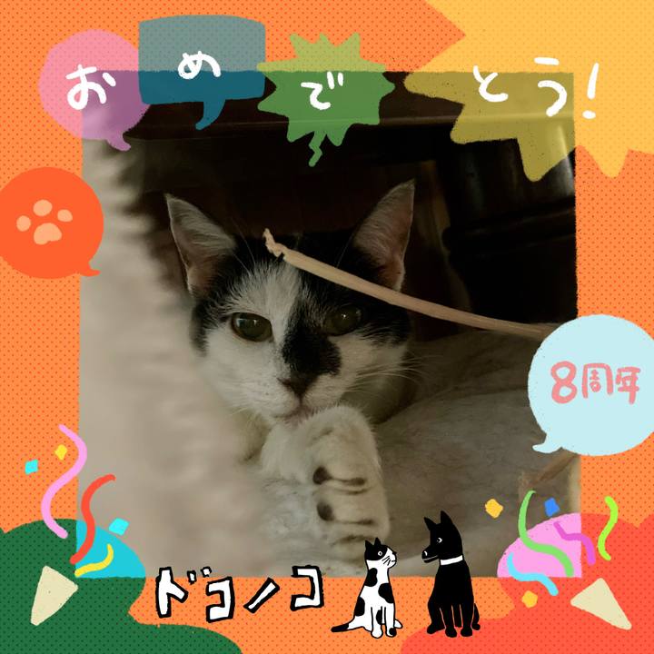 F843bb17 b953 4dad 9eaf ce891b36a191 1717804865607