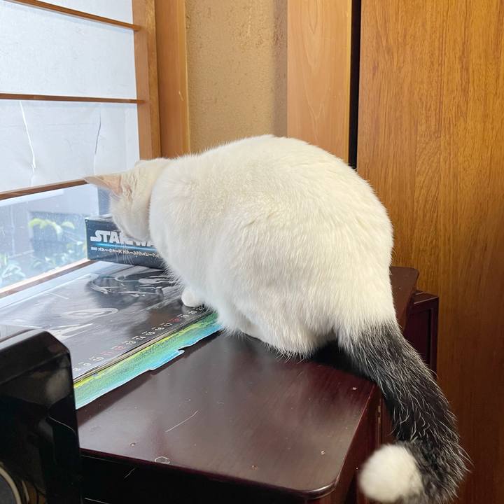 F843ce42 781f 4d3a 8158 af5f5ffe8640 1768258385778