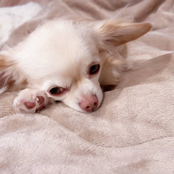 F843df2f 5220 4eb8 9d36 7c9aa97978b4 1739402260587