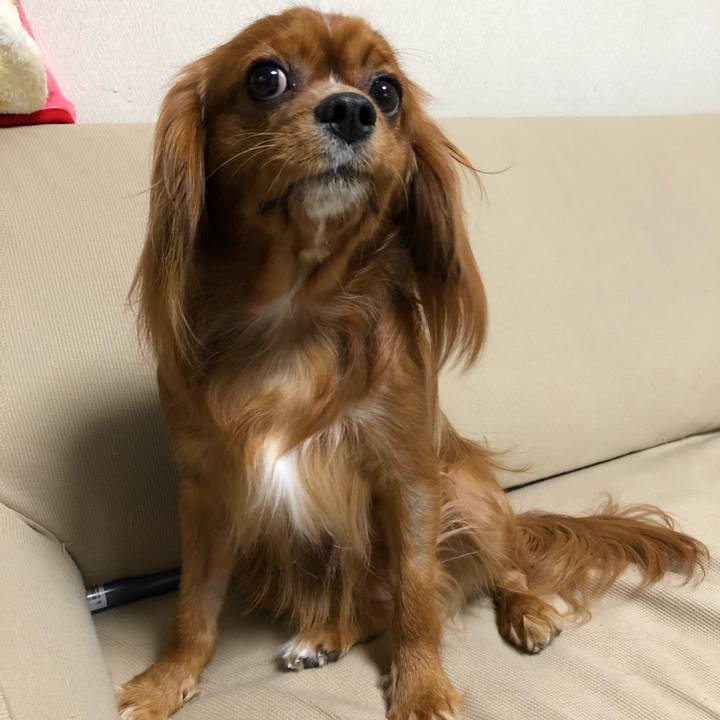 F84409cd 5066 4413 a5c8 12a79e4acb21 1541288243875