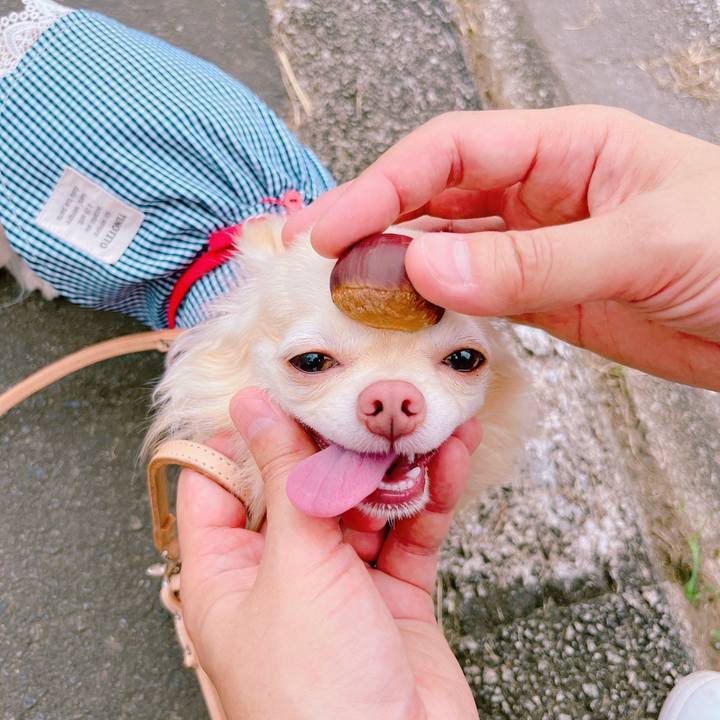 F8441471 ab28 4b21 b257 8ade05c543bd 1663742631038