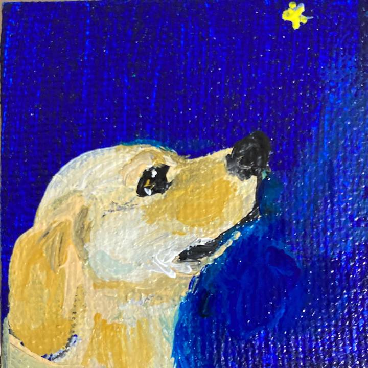 F84430c0 1add 4c4d 8c3c 741dc76dc633 1671408165876