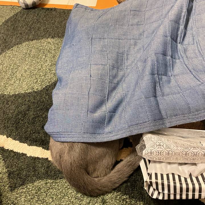 F8443348 0ef2 4712 b26e 975c0aa85567 1620737385777