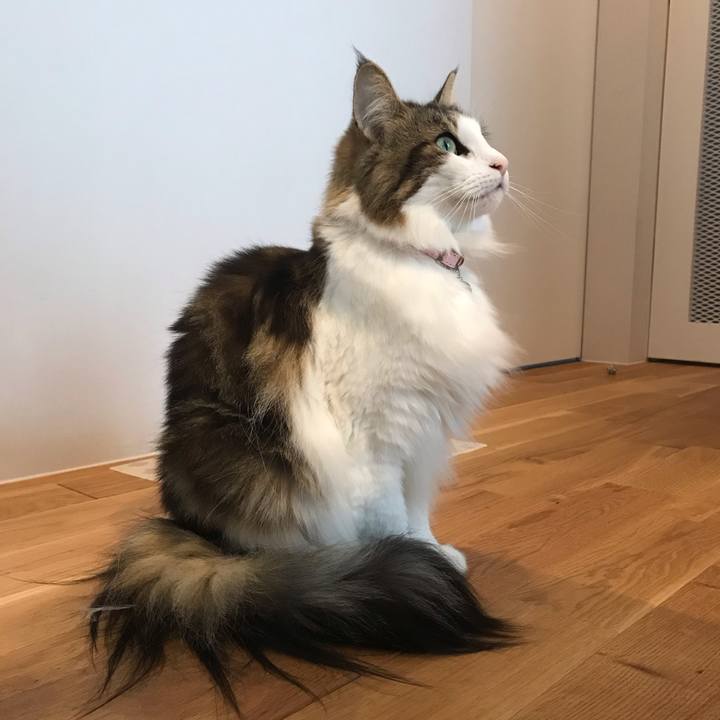 F844380b 181b 4c95 be58 e3077a5b4449 1539935934296