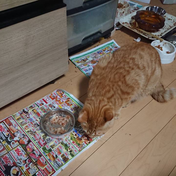 F84440cd b26e 4cd0 9d80 0c0aec017227 1648331697641