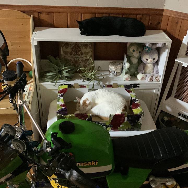 F8446945 1260 4cf5 9b4e 14c54a4e6760 1659096243515