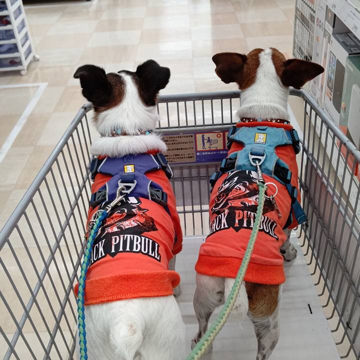 F8446a46 b20e 4236 abdf 0fabaf51fc72 1634459614971