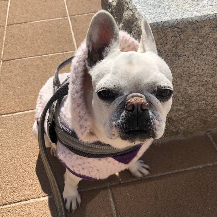 F8447d43 8bbc 45a0 bc3d 2b377ad255e0 1645595051585