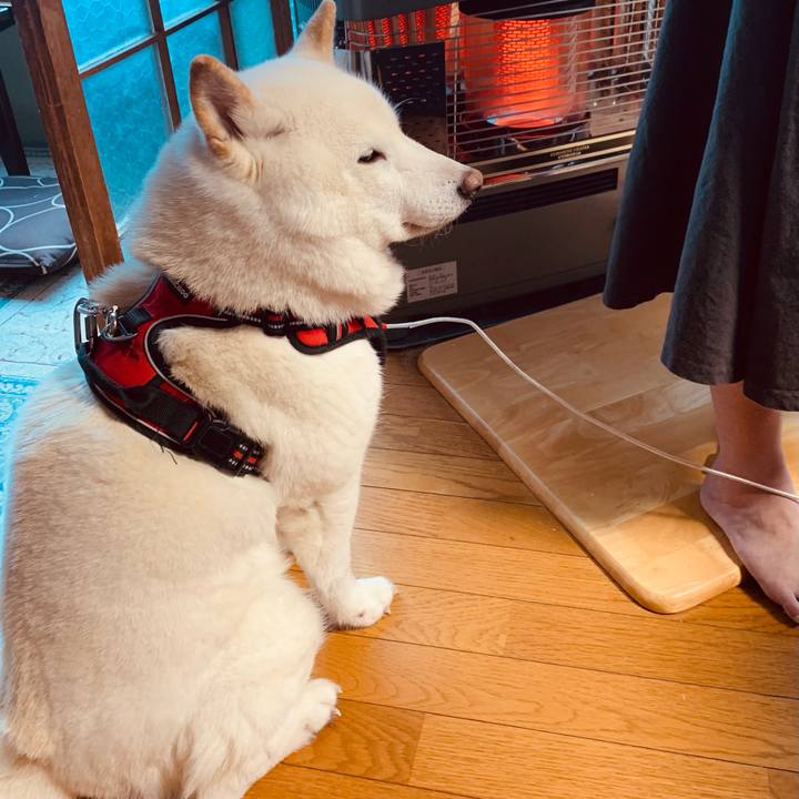 F844805e 83d4 4391 b7d4 c8a4ee797ab9 1610843264406