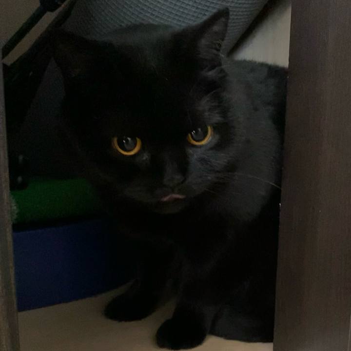 F8448d8d b48a 4cf7 88f4 3b75be25b619 1618966164120