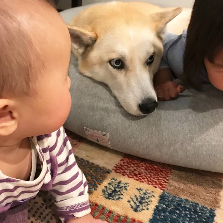 F844a6ae 6e8a 492f bd2d 2b13717d8a10 1543836288288