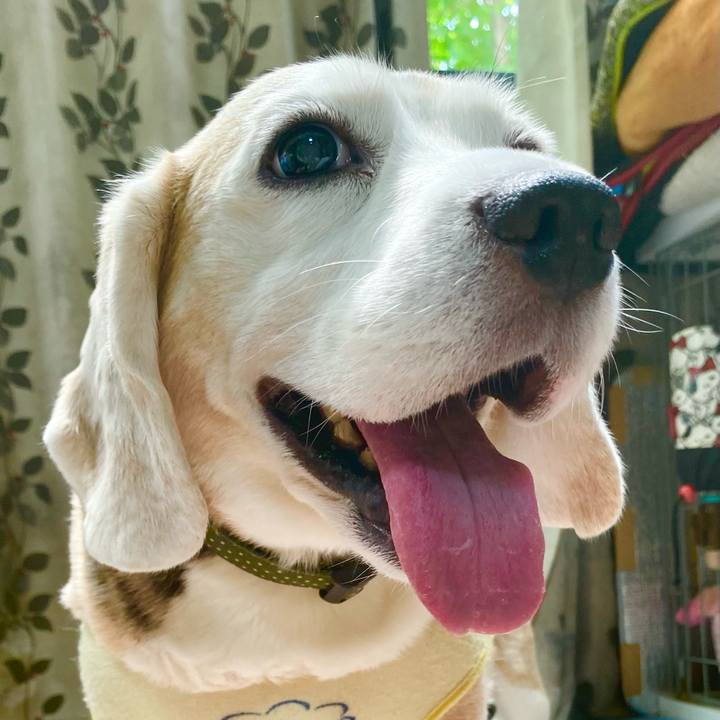 F844e506 a5dd 4aa6 b436 7a73dabede48 1659844088422