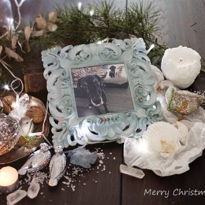 F8450736 9ff0 4362 a559 8c2f0ff80897 1513944034023