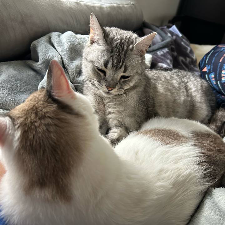 F8450870 a65c 4aa8 9c3f 3c326578ebbd 1719657447117