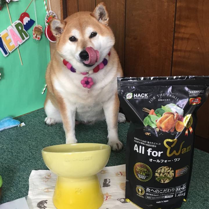 F8451319 ac24 4217 a653 19c99cdb6597 1643341510104